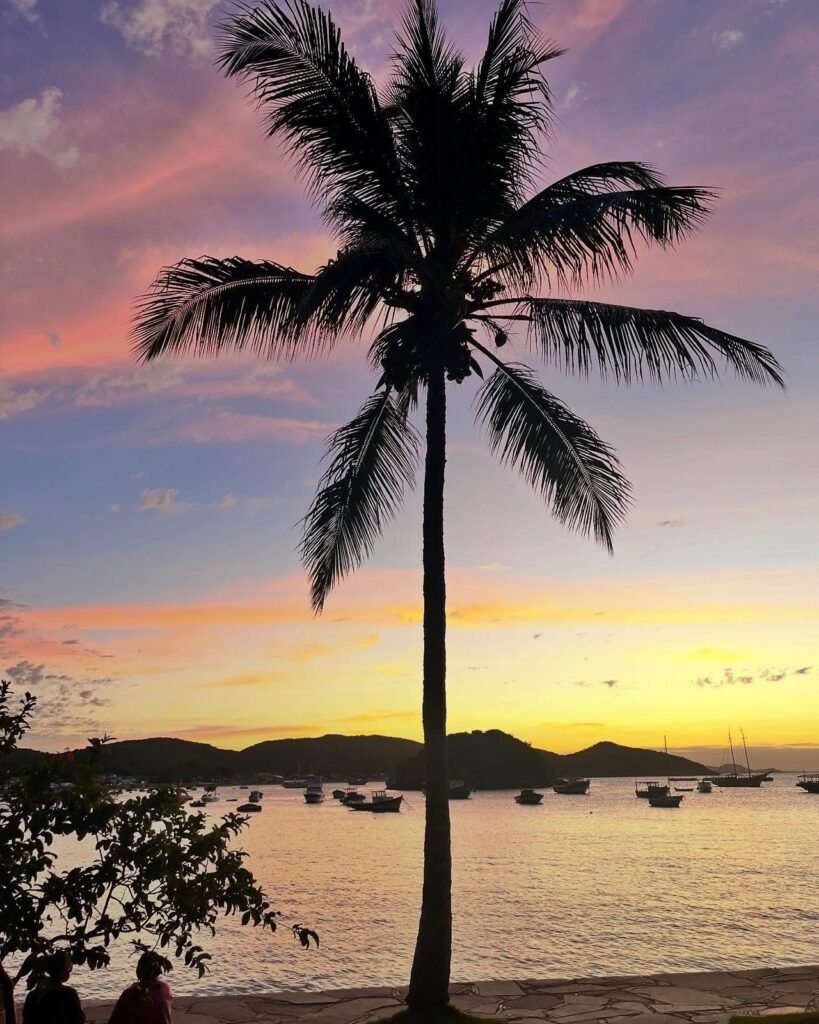 WhatsApp Image 2026-01-24 at 10.33.20 AM (1)