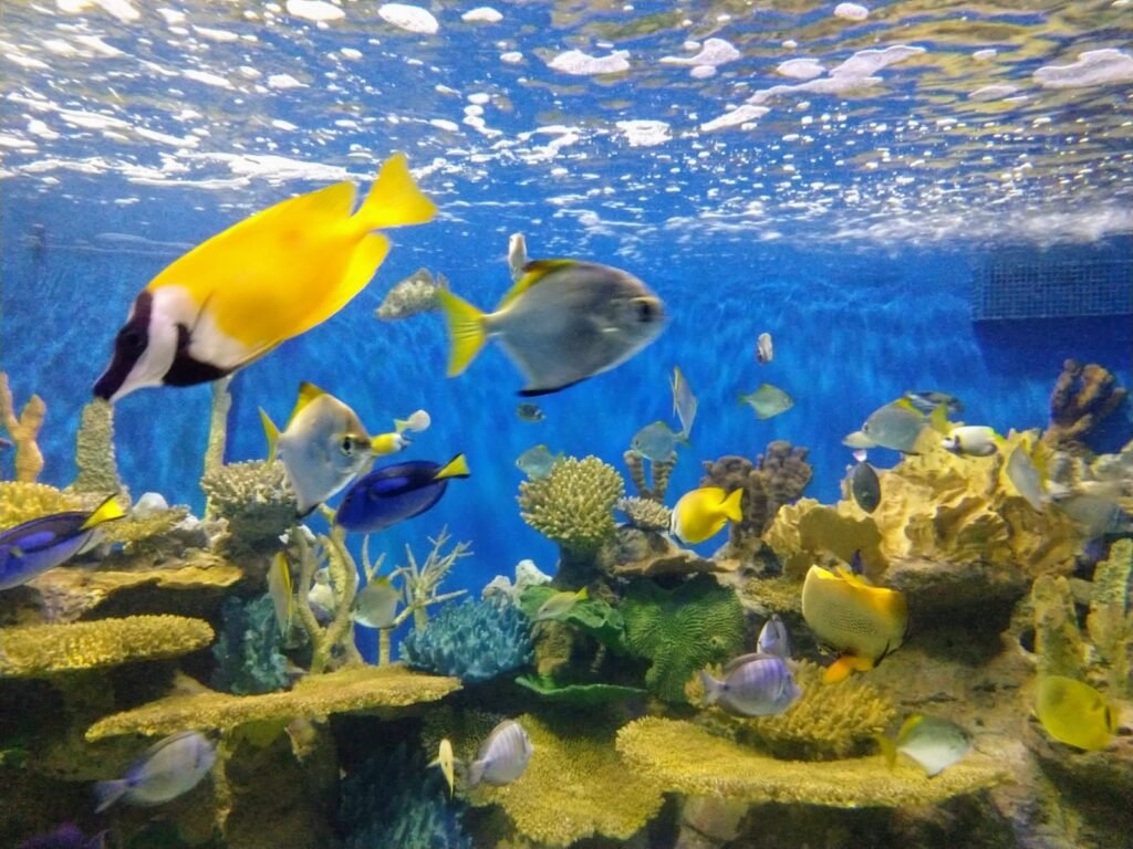 WhatsApp Image 2026-01-27 at 3.05.24 PM (2)